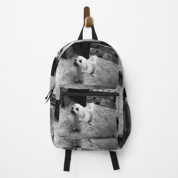 Item preview, Maltese in the Kitchen (in black and white) designed and sold by TmartUS.