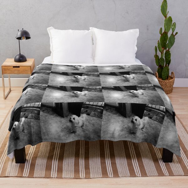 Item preview, Maltese in the Kitchen (in black and white) designed and sold by TM Art.