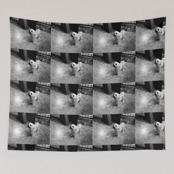 Item preview, Maltese in the Kitchen (in black and white) designed and sold by TmartUS.