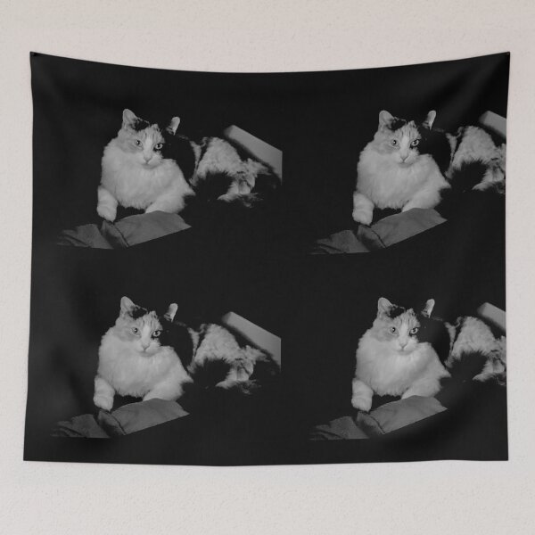 Item preview, Clothing Cat - Calico (in black and white) designed and sold by TmartUS.