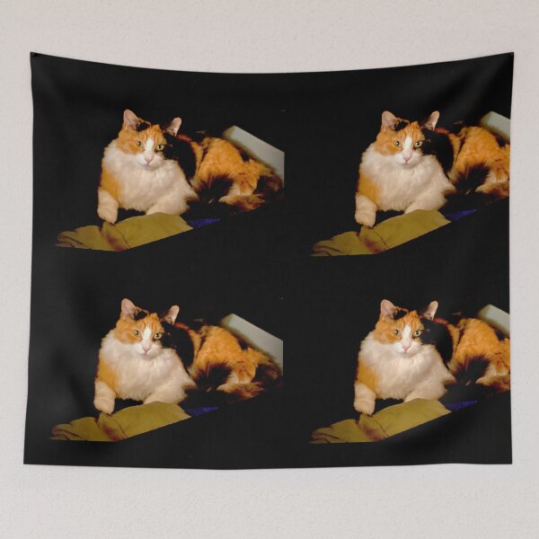 Item preview, Clothing Cat - Calico designed and sold by TmartUS.