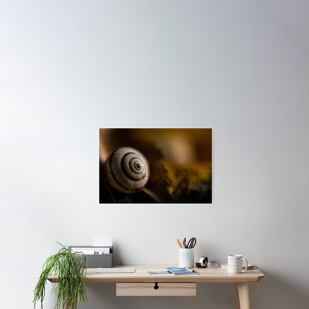 Vista previa del artículo con la obra «Póster», diseñado y vendido por ILODESIGNS.