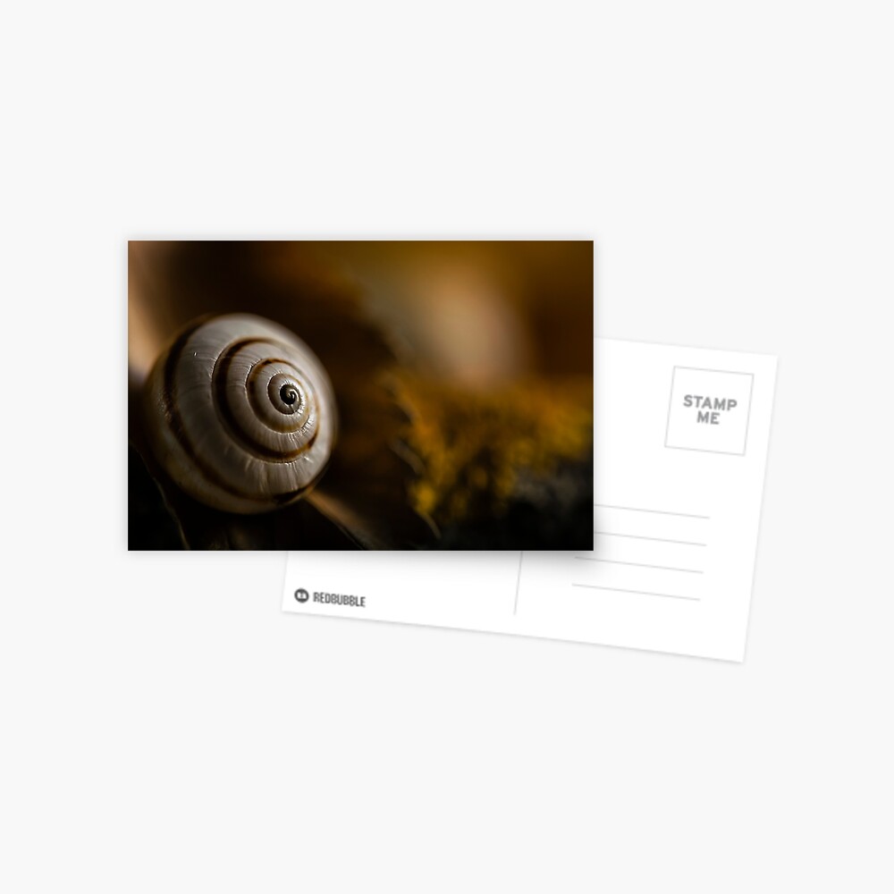 Vista previa del artículo con la obra «Postal», diseñado y vendido por ILODESIGNS.