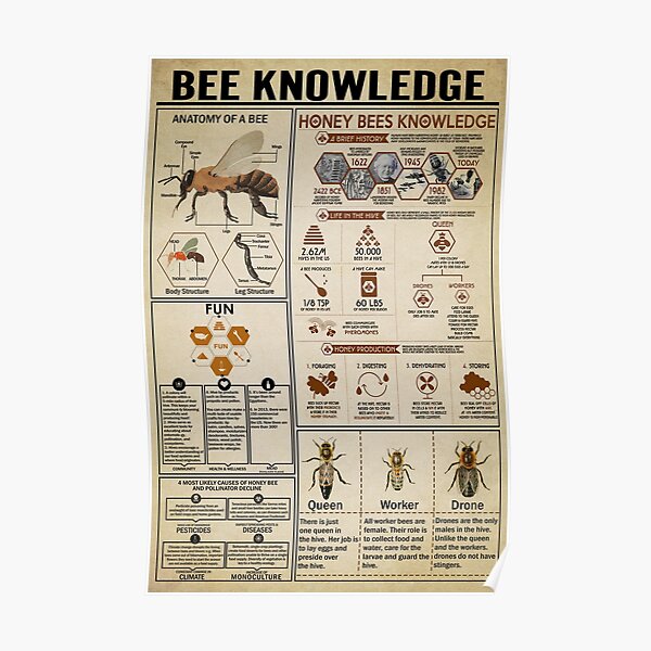 Bee Knowledge, Bee Lovers Poster