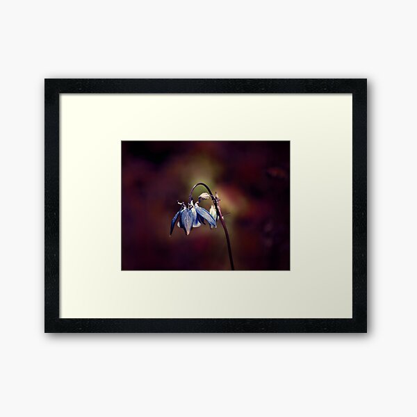 a kind of bluish Framed Art Print