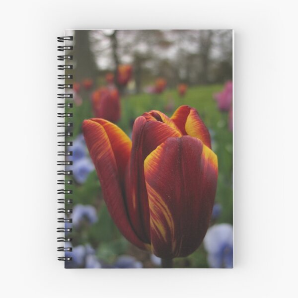 Item preview,  Tomado en abril de 2014. designed and sold by KMorral.