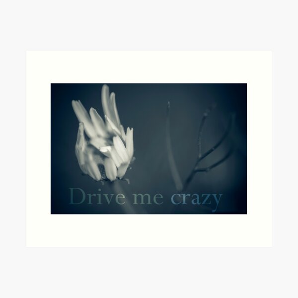 Vista previa del artículo con la obra «Drive me crazy», diseñado y vendido por ILODESIGNS.