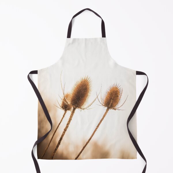 Item preview, Teasel Seed Heads designed and sold by Richard Nixon.