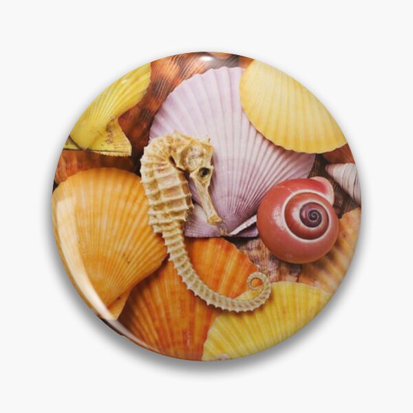 Item preview, Sea urchin shell pattern designed and sold by KAMRAN HASSAN.