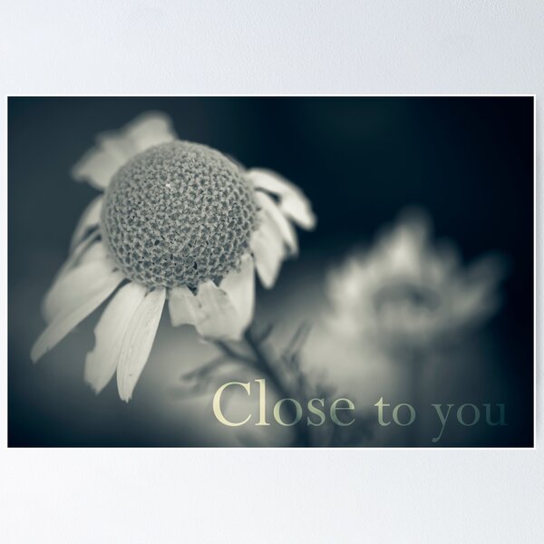 Vista previa del artículo con la obra «Close to you», diseñado y vendido por ILODESIGNS.