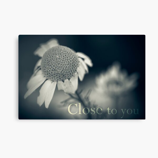 Vista previa del artículo con la obra «Close to you», diseñado y vendido por ILODESIGNS.