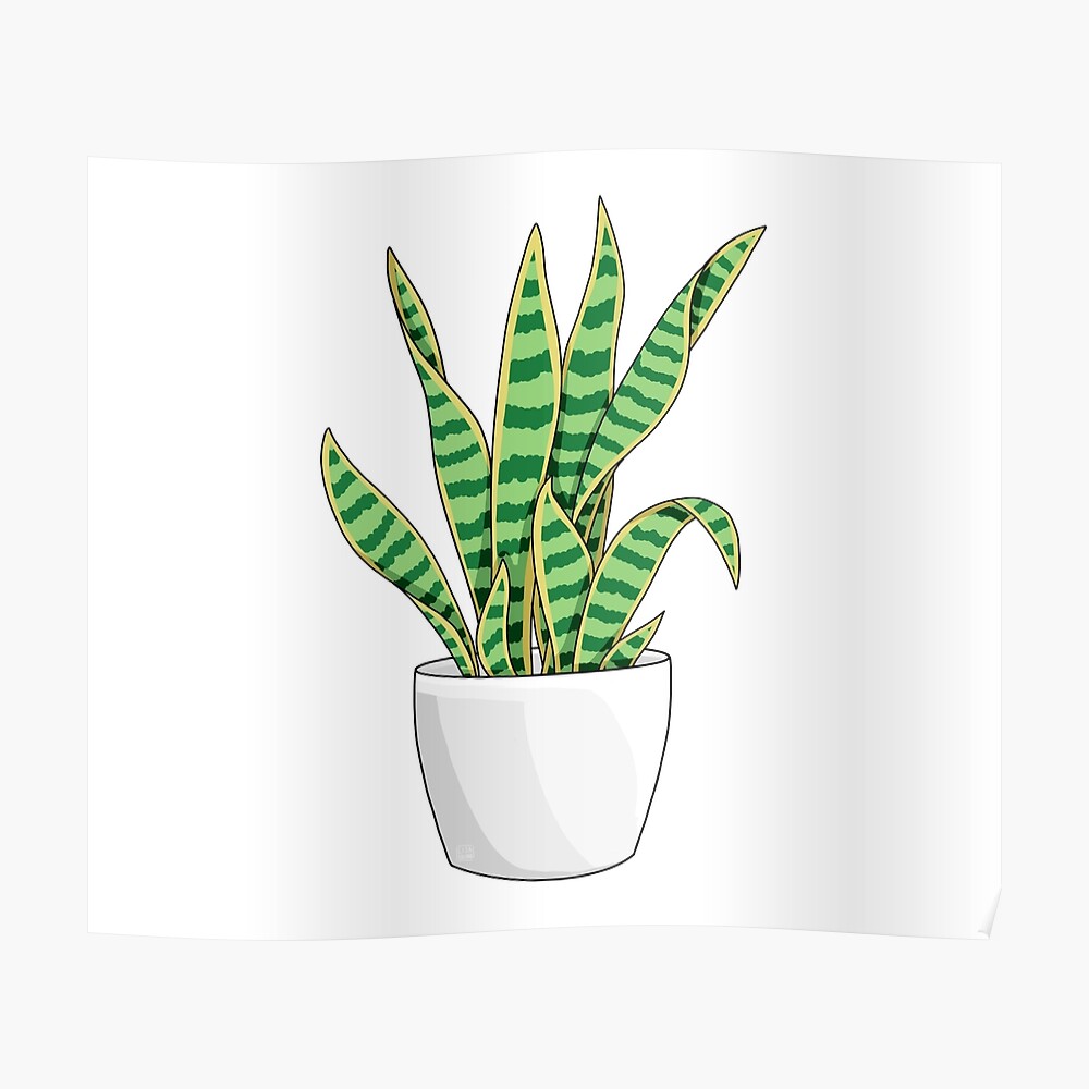 Kiss-Cut Sticker Snake Plant Neutral Colors Plants Are Friends