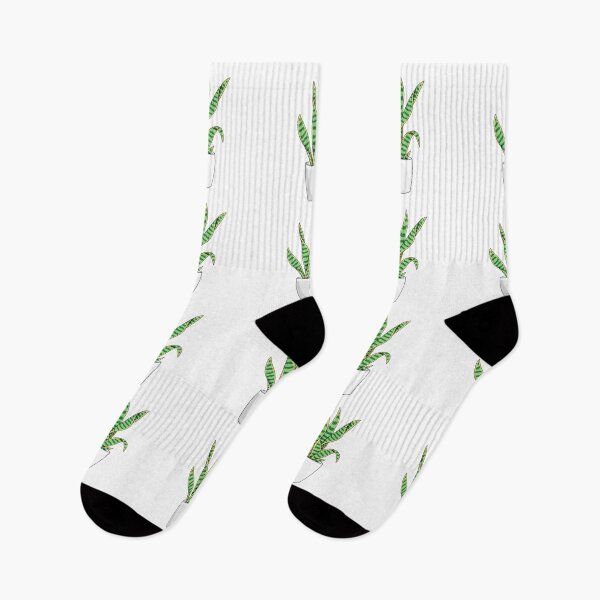 Item preview, Sansevieria snake plant designed and sold by lisaedlund.