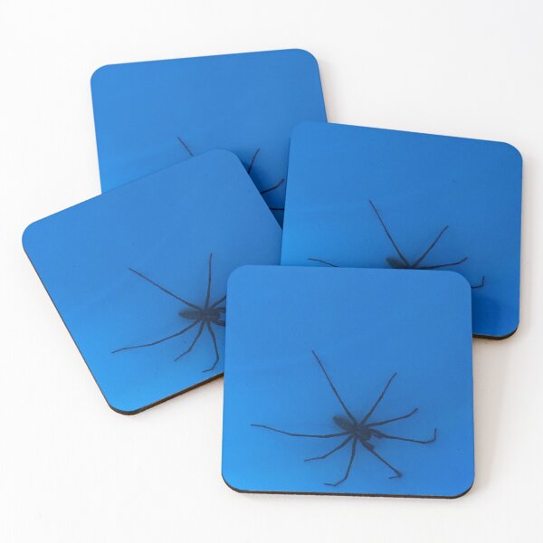Item preview, Spider designed and sold by StarLane.