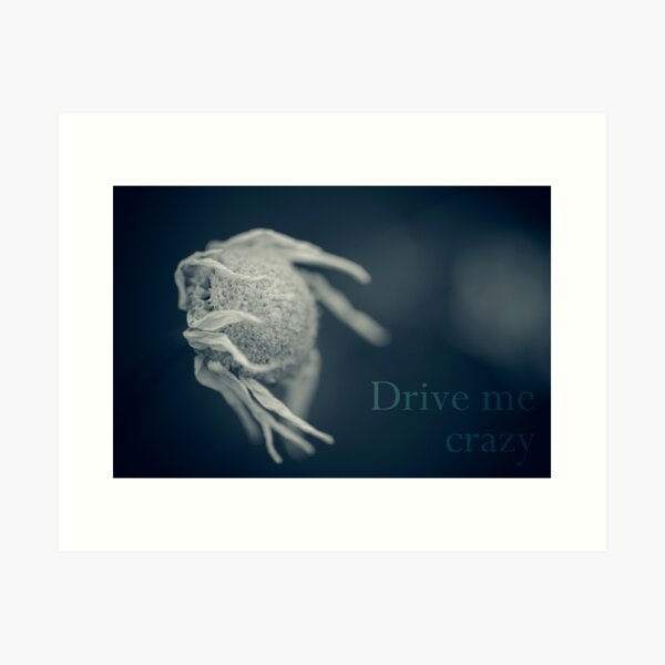 Vista previa del artículo con la obra «Drive me crazy #2», diseñado y vendido por ILODESIGNS.