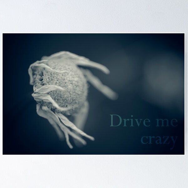 Vista previa del artículo con la obra «Drive me crazy #2», diseñado y vendido por ILODESIGNS.