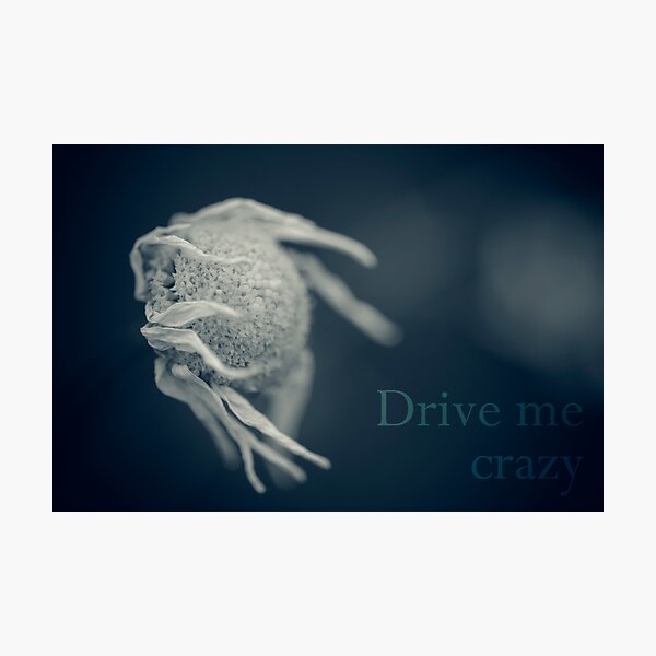 Vista previa del artículo con la obra «Drive me crazy #2», diseñado y vendido por ILODESIGNS.