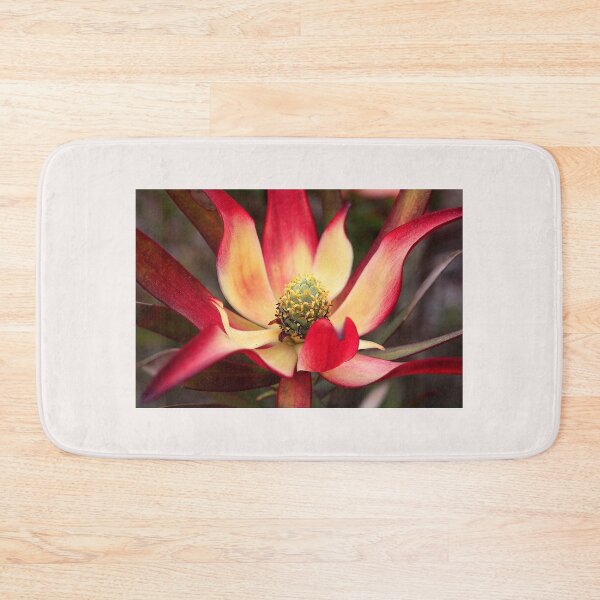 Item preview, Flower - Christchurch Botanic Garden (1) designed and sold by Phil Le Cren.