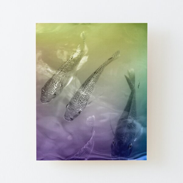 fish surreal Wood Mounted Print