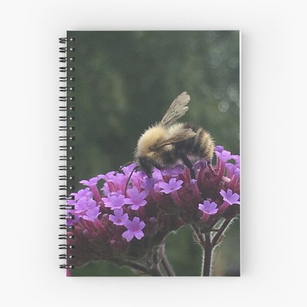 Aperçu de l'œuvre abeille créée et vendue par StarLane.