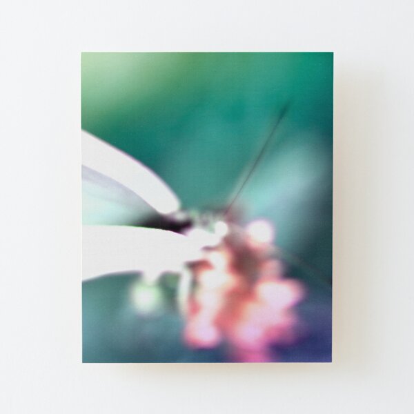 butterfly Wood Mounted Print