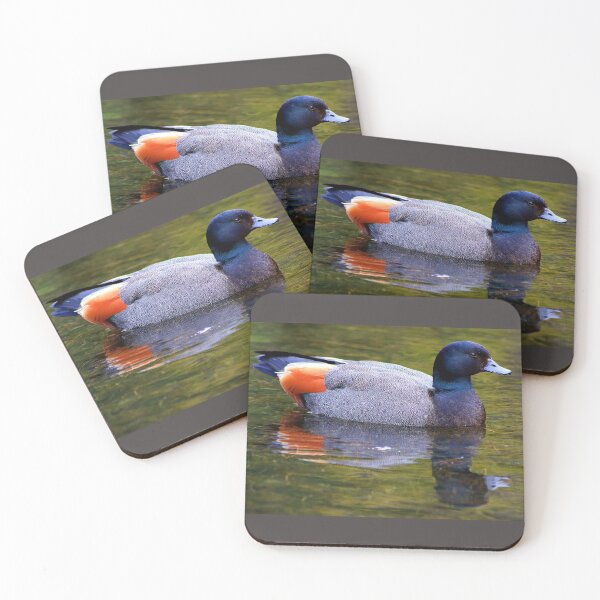Item preview, Paradise Shelduck (Male) designed and sold by Phil Le Cren.