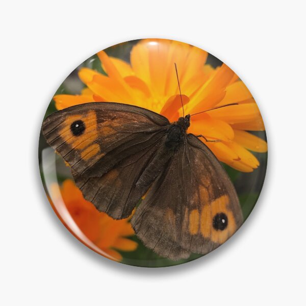 Item preview, Butterfly designed and sold by StarLane.