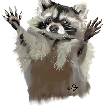 Artwork thumbnail, Cute Racoon by Bemblems