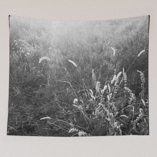 Item preview, Field poured with sunshine designed and sold by helenkaiy.