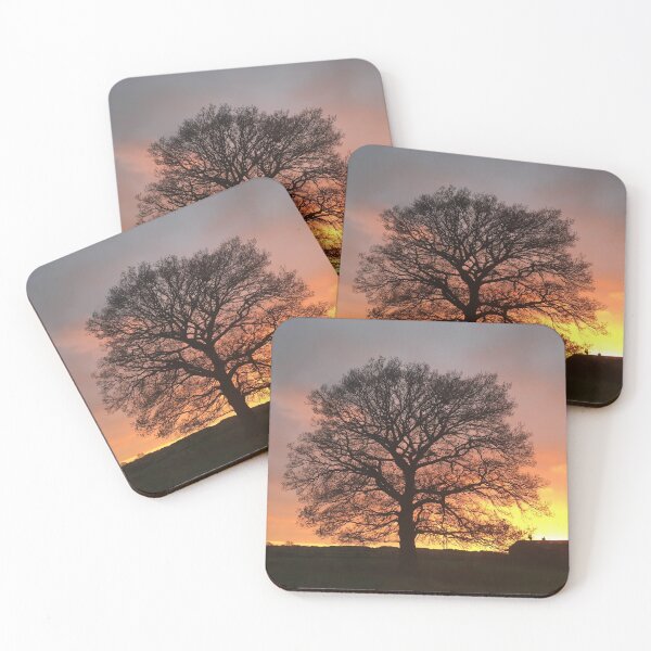 Item preview, Oak tree #2 designed and sold by StarLane.