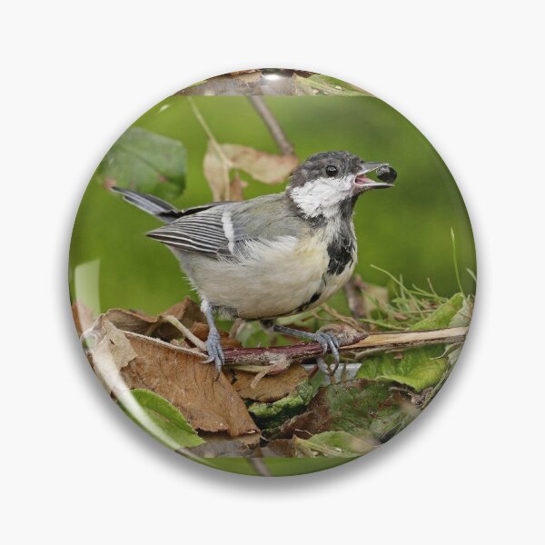 Item preview, r1469/ Super New Finition 2021- Birds  b 20 (c)(t)  by Olao-Olavia / Okaio Créations   designed and sold by o.okaïo.