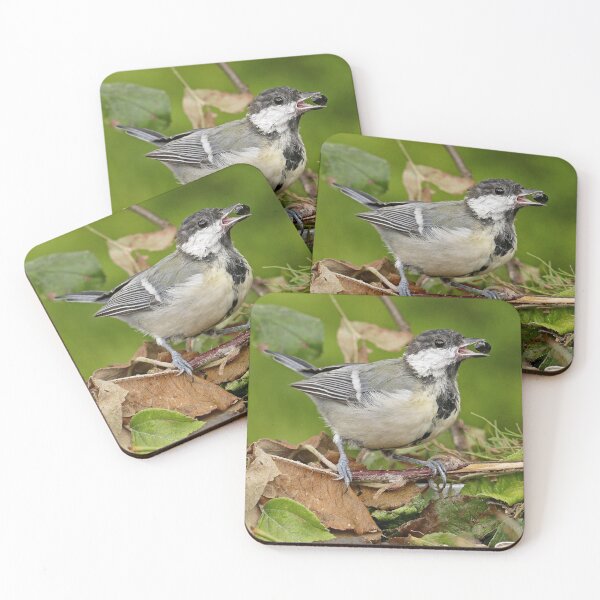 Item preview, r1469/ Super New Finition 2021- Birds  b 20 (c)(t)  by Olao-Olavia / Okaio Créations   designed and sold by o.okaïo.