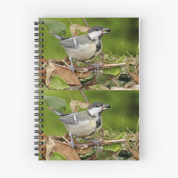 Item preview, r1469/ Super New Finition 2021- Birds  b 20 (c)(t)  by Olao-Olavia / Okaio Créations   designed and sold by o.okaïo.