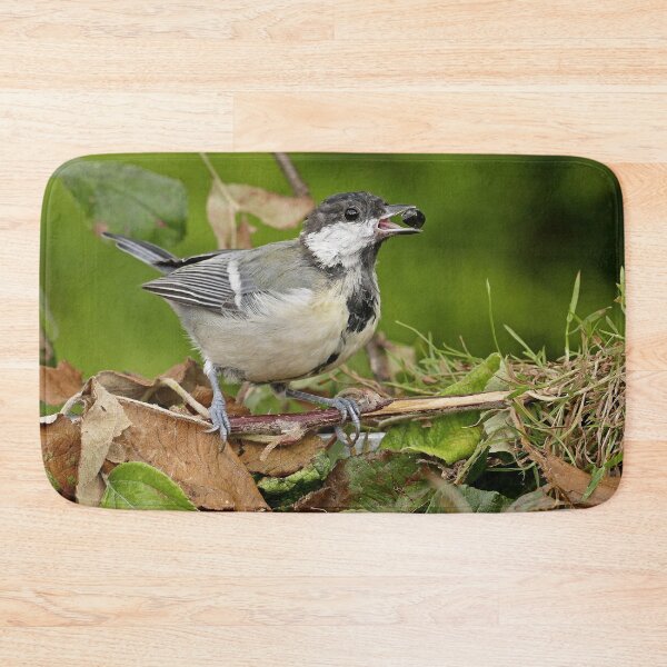 Item preview, r1469/ Super New Finition 2021- Birds  b 20 (c)(t)  by Olao-Olavia / Okaio Créations   designed and sold by o.okaïo.