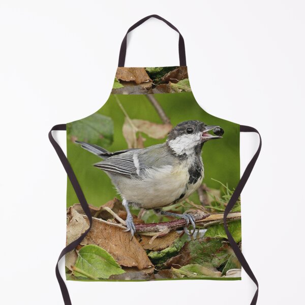 Item preview, r1469/ Super New Finition 2021- Birds  b 20 (c)(t)  by Olao-Olavia / Okaio Créations   designed and sold by o.okaïo.