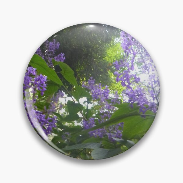 Item preview, Salvia 'Amistad' (Friendship Sage) designed and sold by Moonshine Paradise.