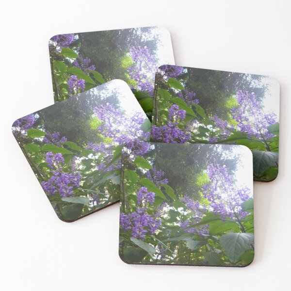 Item preview, Salvia 'Amistad' (Friendship Sage) designed and sold by Moonshine Paradise.