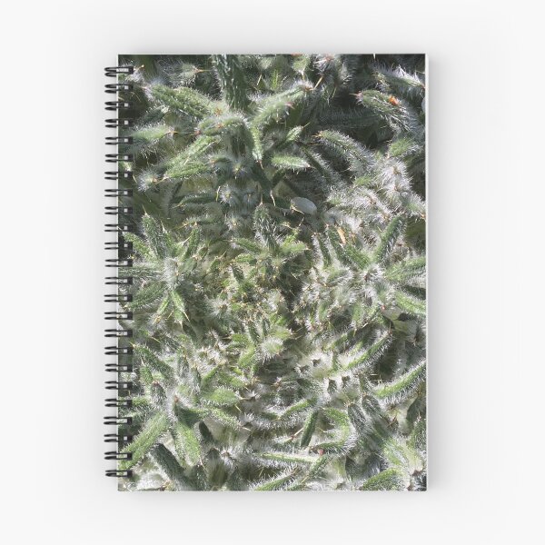 Item preview, geometrical wild plant designed and sold by feiermar.