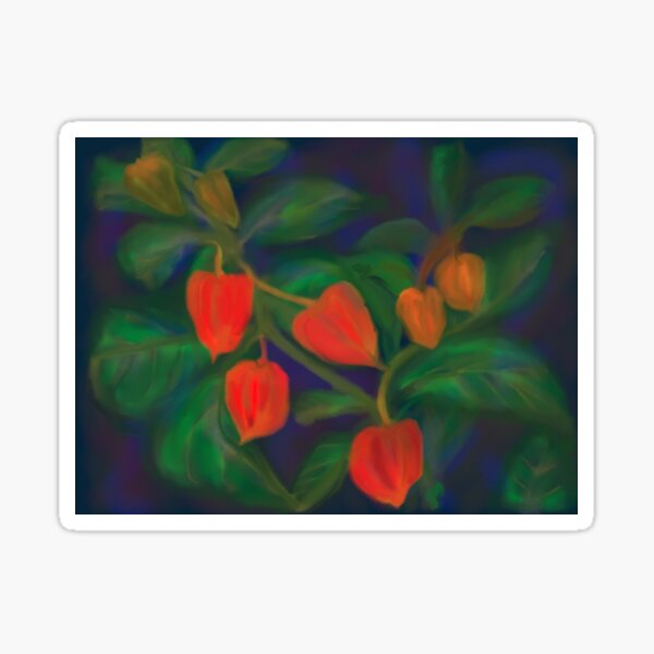 Chinese Lanterns Sticker