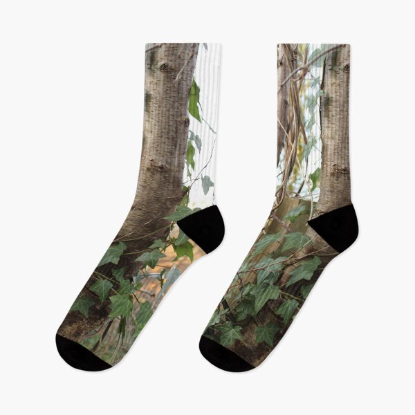 Item preview, Ivy on plum tree in the urban garden designed and sold by wineandwords.