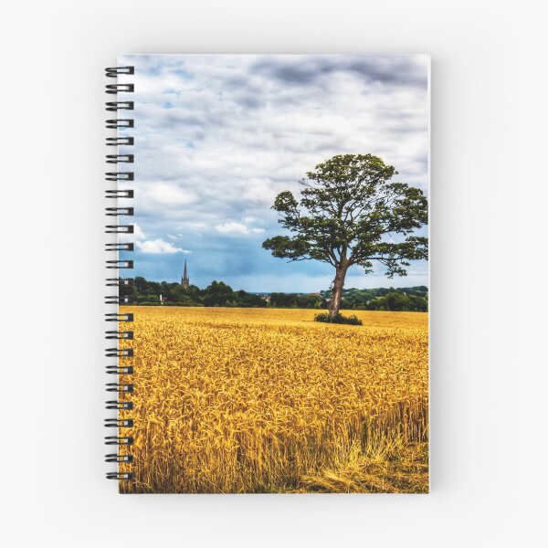 Item preview, St James' Church, Louth, Behind The Trees, Lincolnshire designed and sold by Paul Thompson Photography.