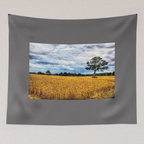 Item preview, St James' Church, Louth, Behind The Trees, Lincolnshire designed and sold by Paul Thompson Photography.