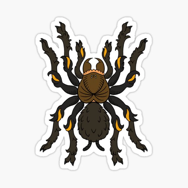 Item preview, Heraldic Tarantula (Chaco Golden Knee) designed and sold by RacieB.