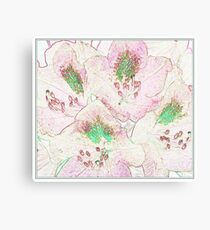 FLOWER SKETCH Canvas Print