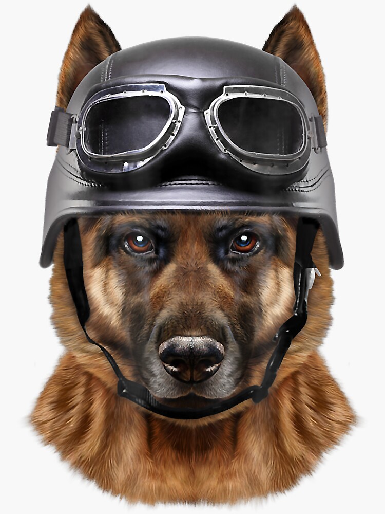 Lentes Casco De Perro Para Moto Casco Para Perros 15 Cm Animal