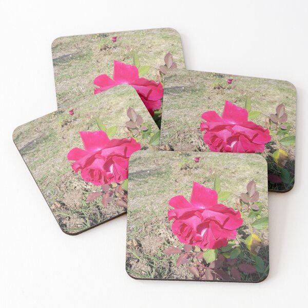 Item preview, Rose, Rose flower designed and sold by Shahid1234.