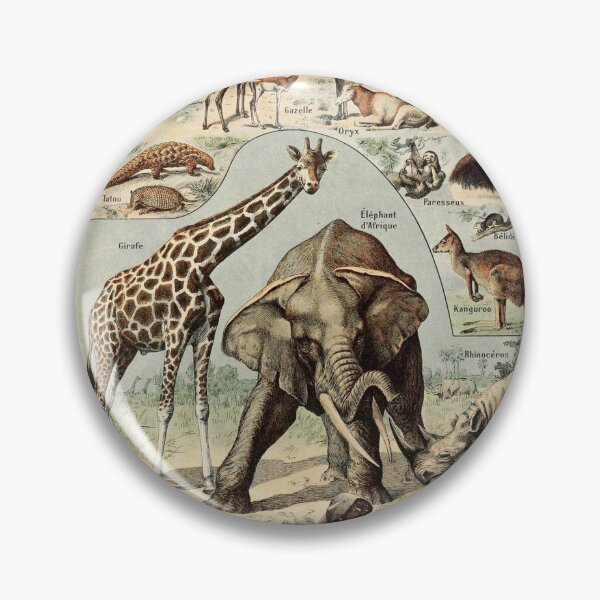 Item preview, Species of mammals chart poster art - Adolphe Millot  designed and sold by Vintage Designs +.