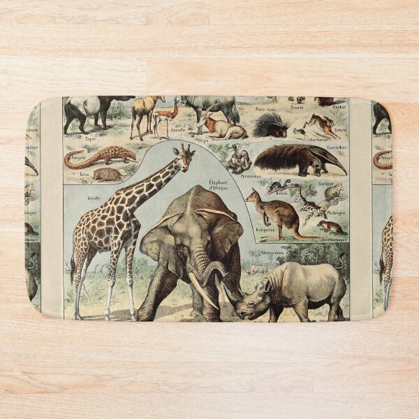 Item preview, Species of mammals chart poster art - Adolphe Millot  designed and sold by Vintage Designs +.