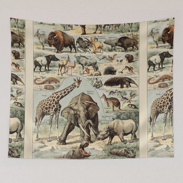 Item preview, Species of mammals chart poster art - Adolphe Millot  designed and sold by Vintage Designs +.