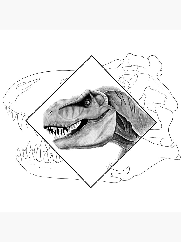 Pin by Mamma D on Drawing ideas  Dinosaur illustration, Pencil drawings of  animals, Dinosaur sketch